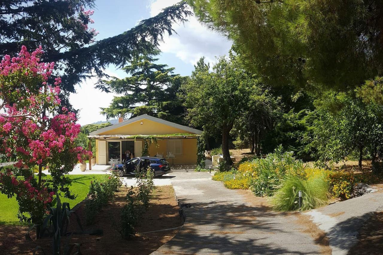Villa Palm Hill Piedimonte Etneo Zewnętrze zdjęcie