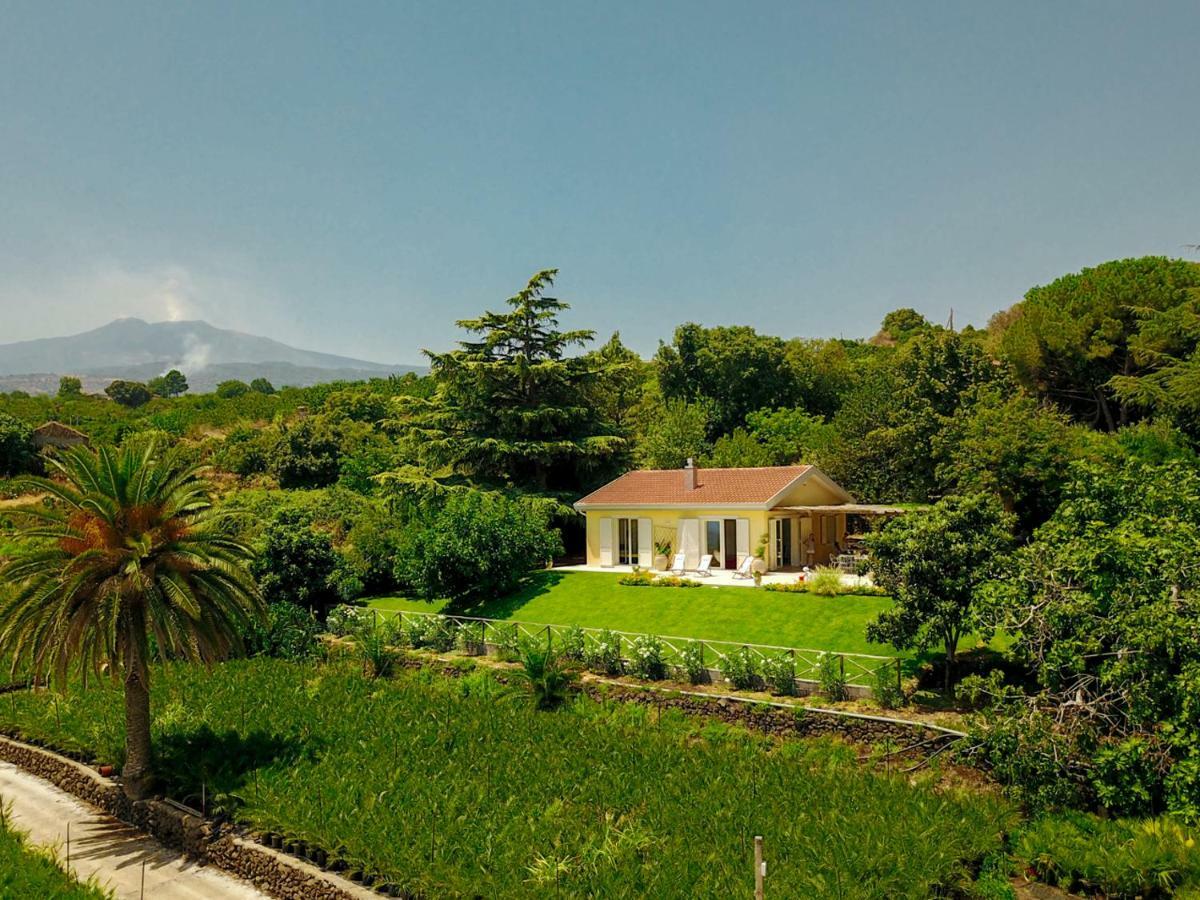 Villa Palm Hill Piedimonte Etneo Zewnętrze zdjęcie